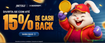 bingoaovivo Plataforma